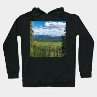 Beautiful Alaska Hoodie